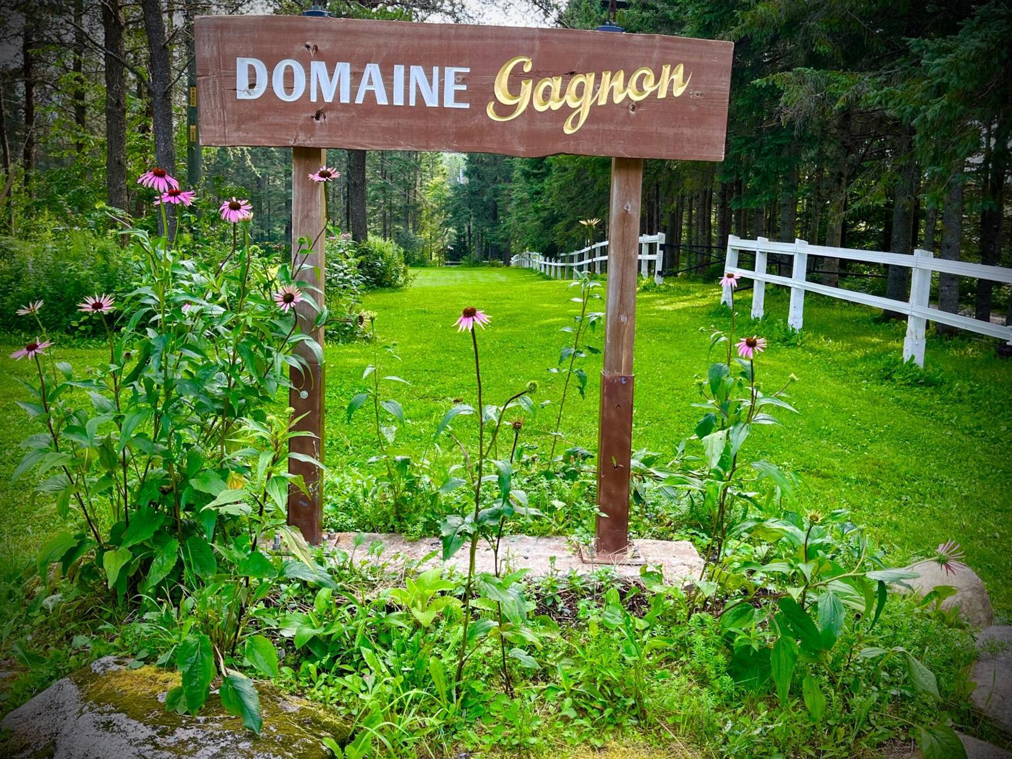 הוילה Saint Sebastien Domaine Gagnon מראה חיצוני תמונה