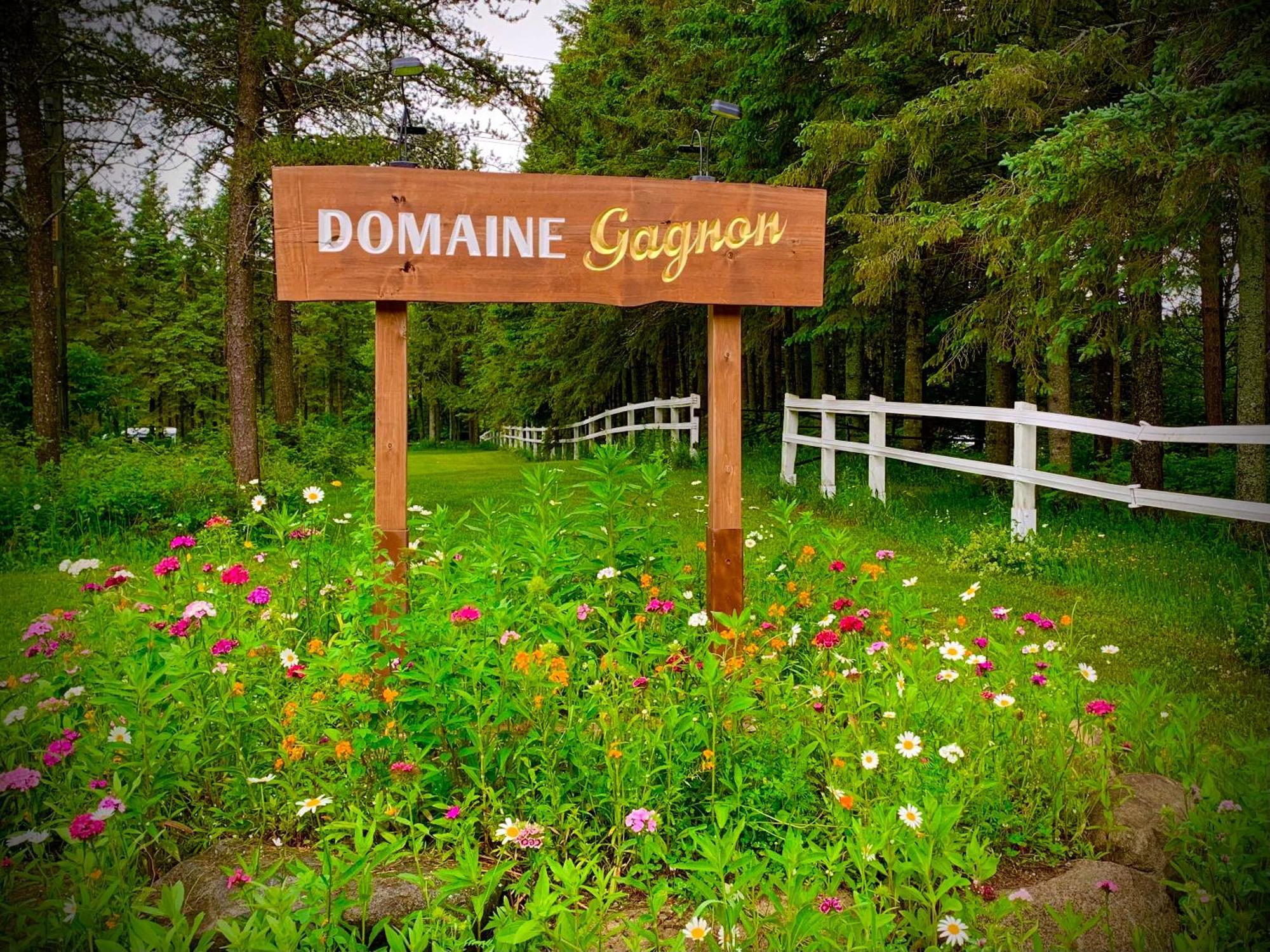 הוילה Saint Sebastien Domaine Gagnon מראה חיצוני תמונה